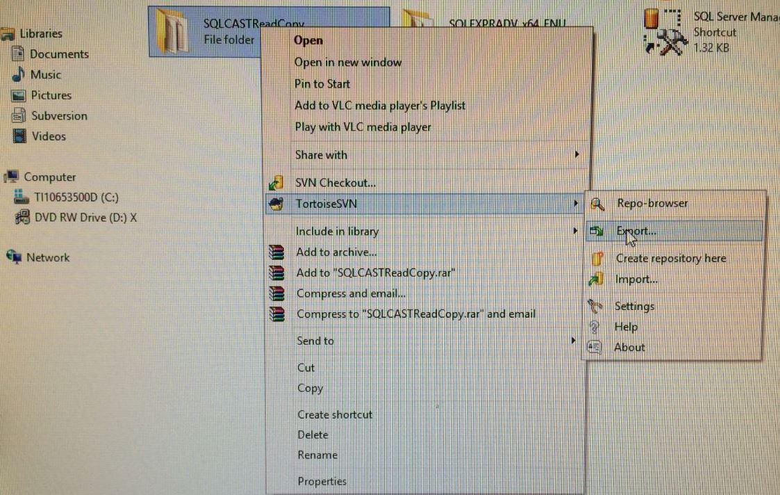 Export a Project File from Repository using TortoiseSVN